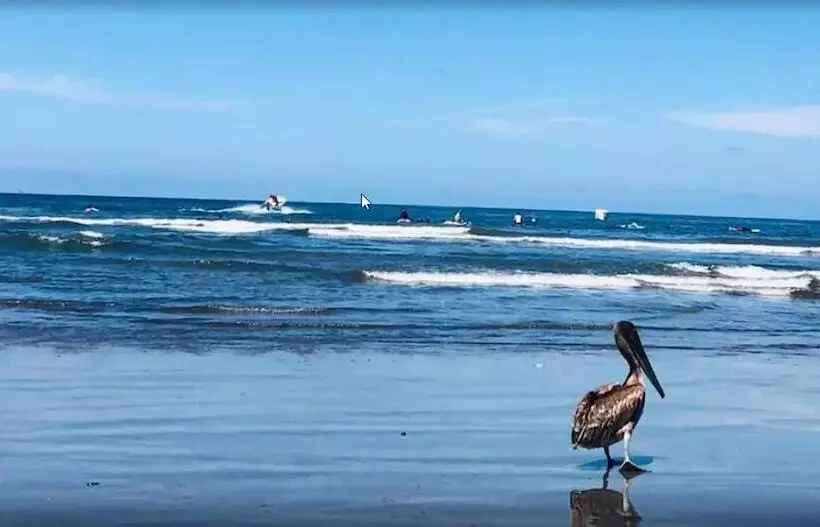 Hotelli Ysuri Sayulita