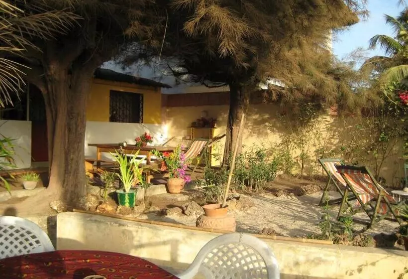 Safari Lodge Location Bungalow