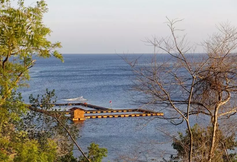 ベッドアンドブレックファースト Menjangan Eco Lodge