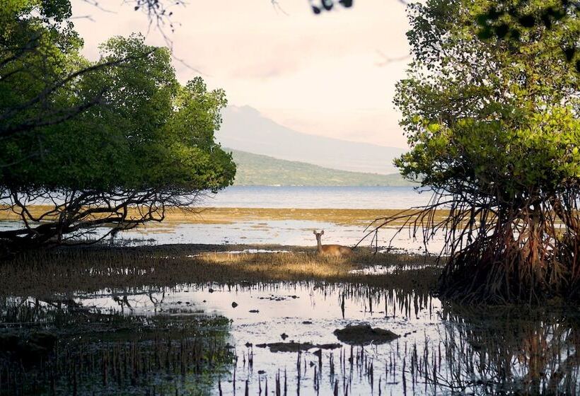 민박 Menjangan Eco Lodge
