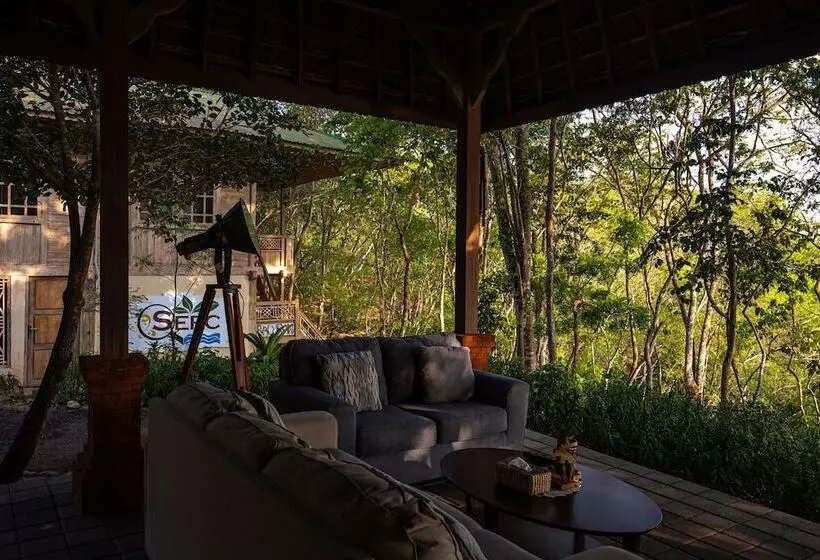 ベッドアンドブレックファースト Menjangan Eco Lodge