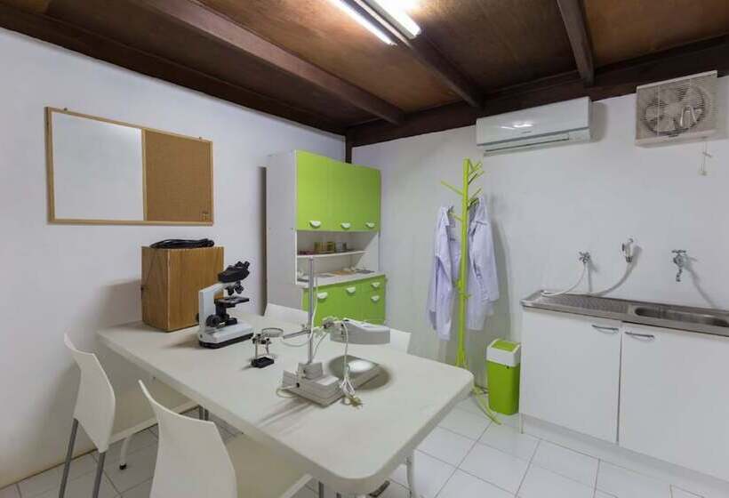 민박 Menjangan Eco Lodge