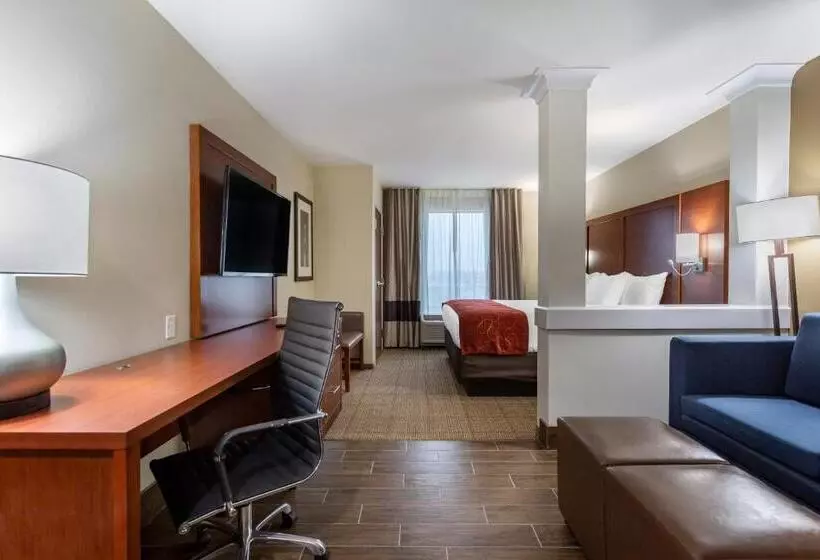 ホテル Comfort Suites