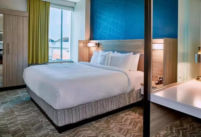 Hotelli Springhill Suites by Marriott Nashville Downtown/Convention Center