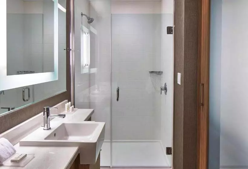 Hotelli Springhill Suites by Marriott Nashville Downtown/Convention Center