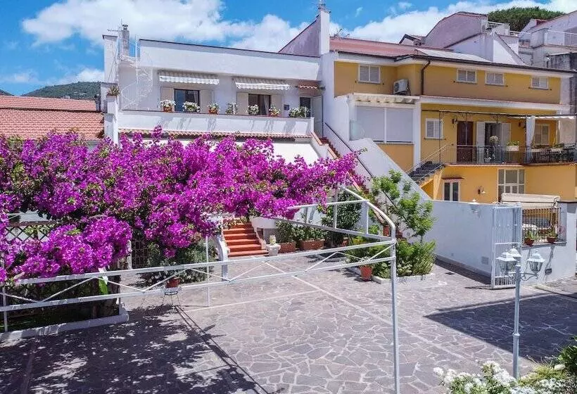 ホテル Villa Iolanda