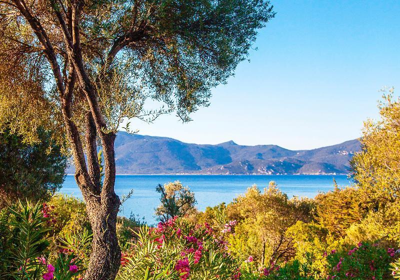 اقامتگاه Domaine Arcobiato