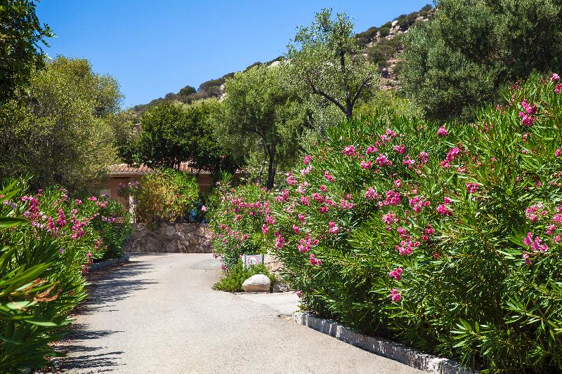 اقامتگاه Domaine Arcobiato