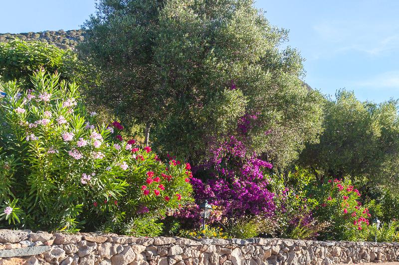 اقامتگاه Domaine Arcobiato