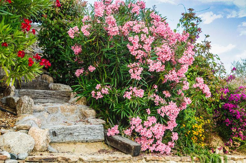 اقامتگاه Domaine Arcobiato