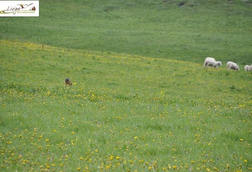 Appartamenti Green Esclusivo Riservato Soleggiato