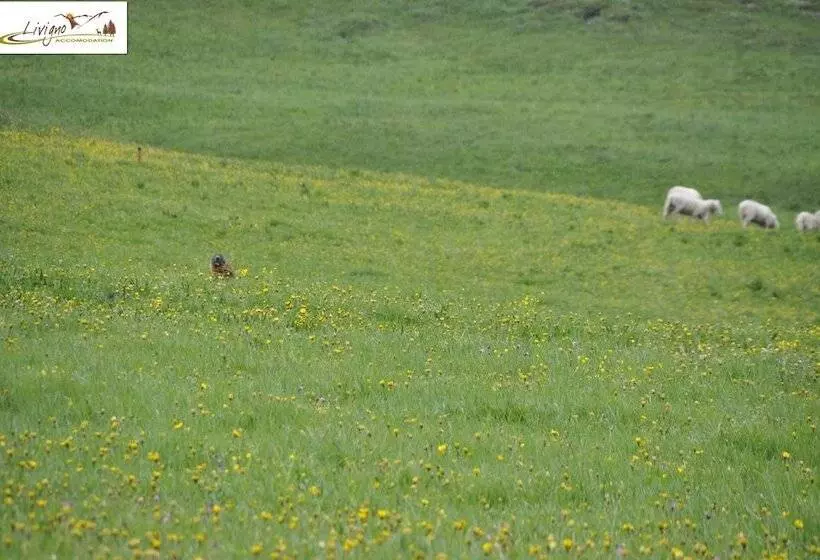 Appartamenti Green Esclusivo Riservato Soleggiato