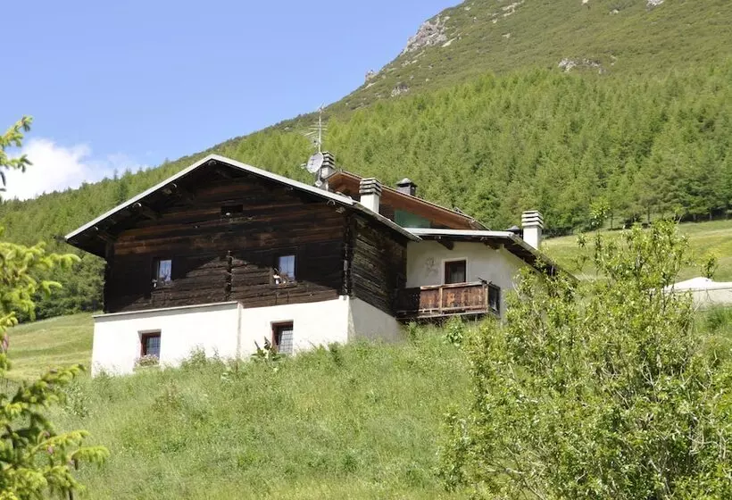 Appartamenti Green Esclusivo Riservato Soleggiato