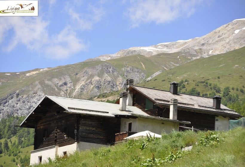 Appartamenti Green Esclusivo Riservato Soleggiato