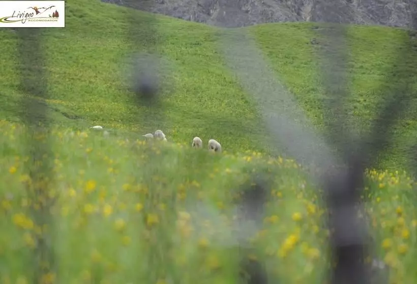 Appartamenti Green Esclusivo Riservato Soleggiato