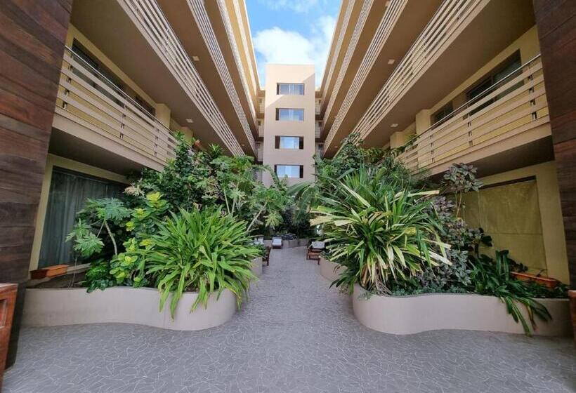 ホテル Las Rochas