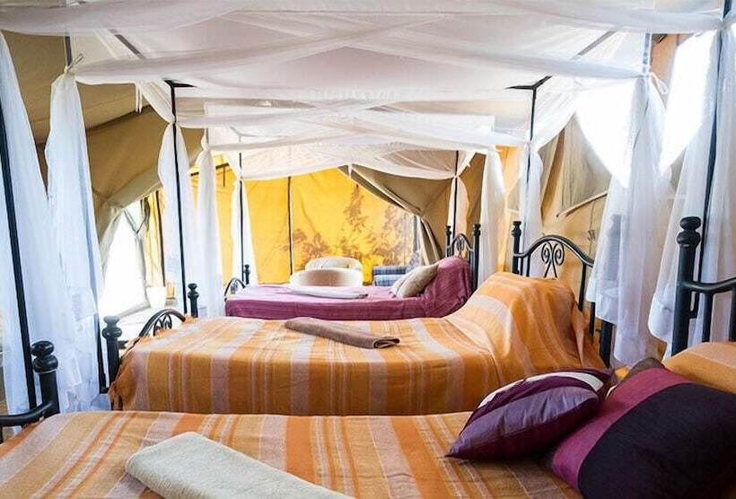 هتل Serengeti Ikoma Wild Camp