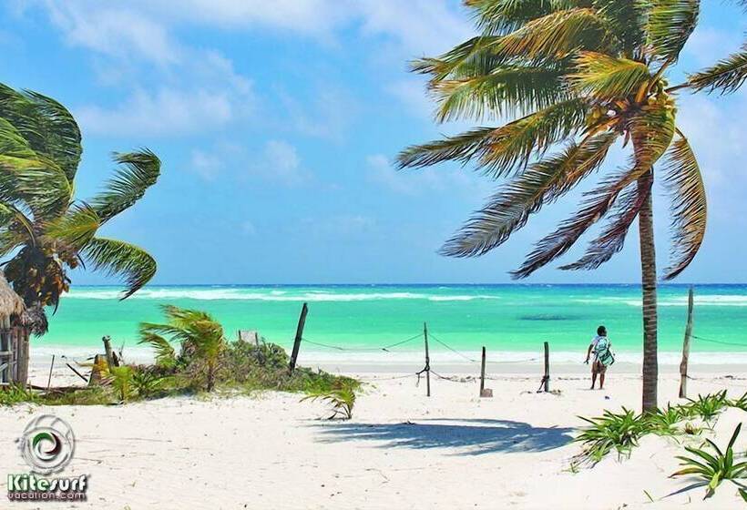 3b Wellness Hotel & Hostel