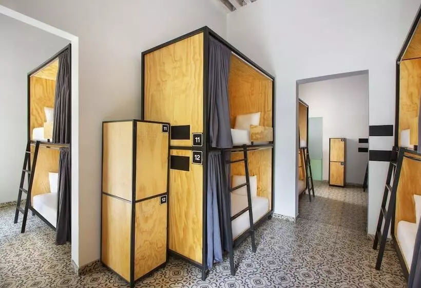 ユースホステル Casa Mx Alameda