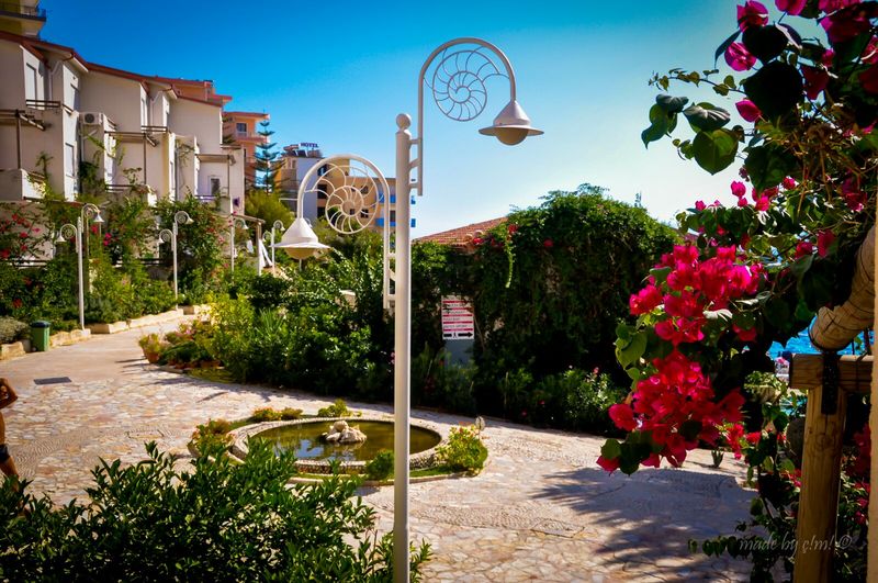 Bougainville Bay Apartments