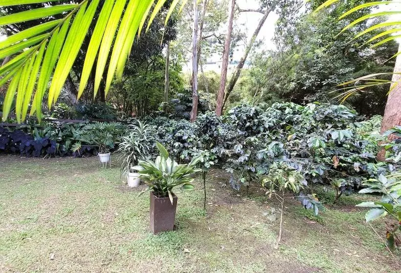 Café Hotel Medellín