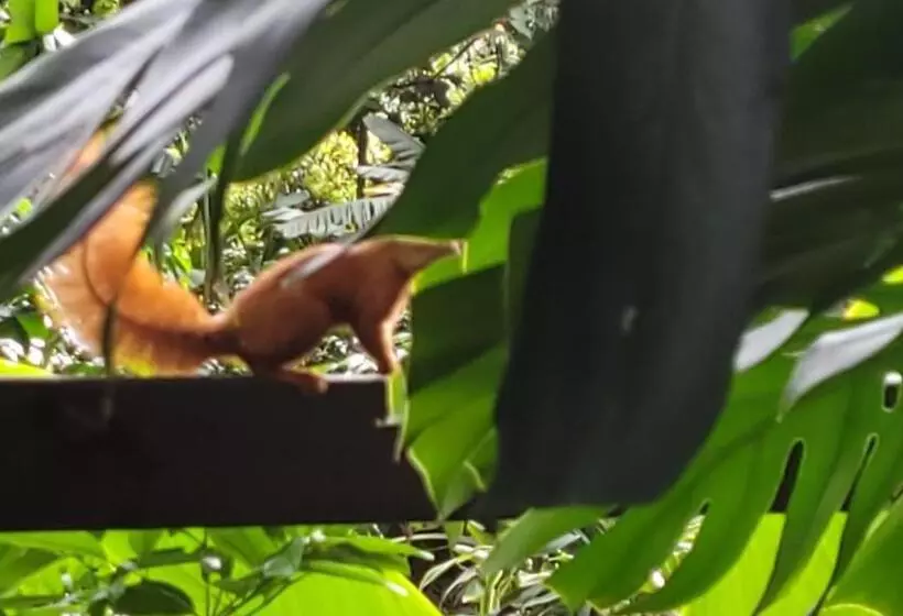 Café Hotel Medellín