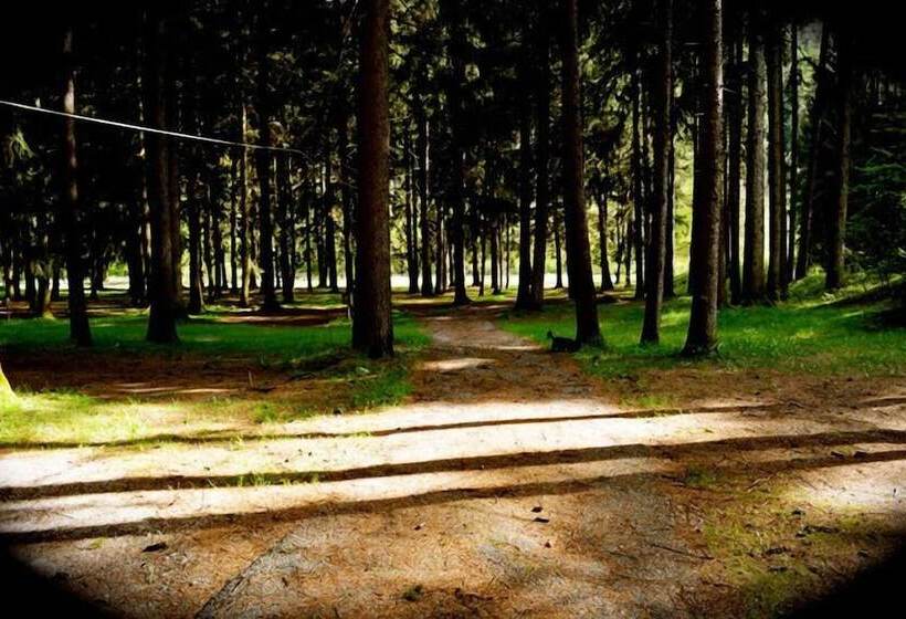 ホテル & Camping Gisser