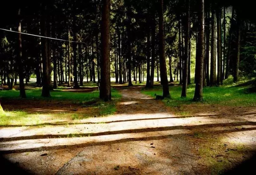 Hotelli & Camping Gisser