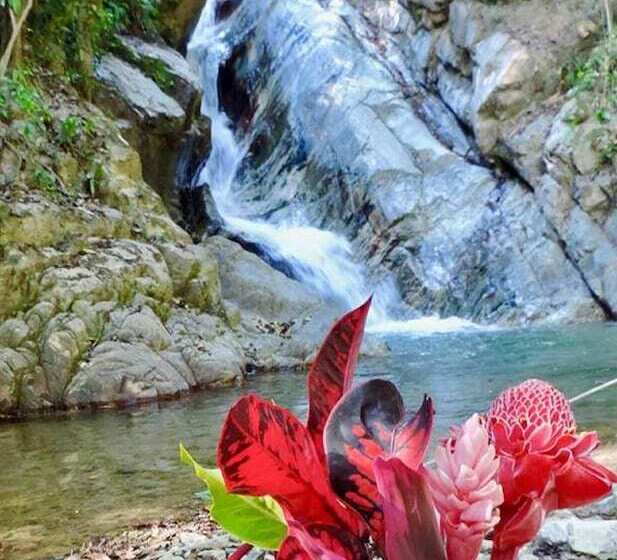 酒店 Glamping Finca Margaritas