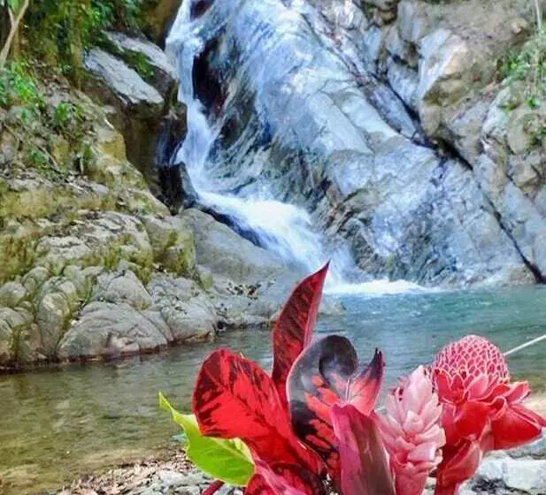 Hotelli Glamping Finca Margaritas