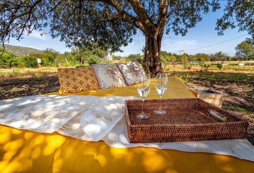 هتل Mercedes Country House