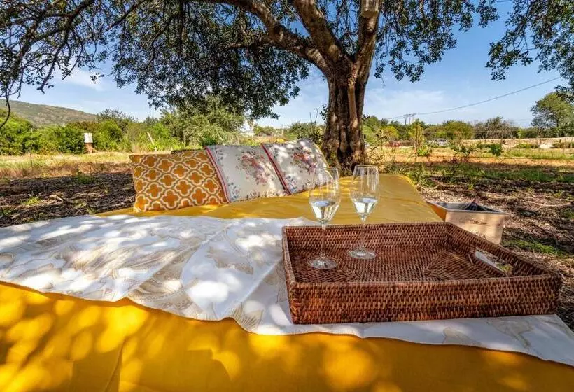 هتل Mercedes Country House