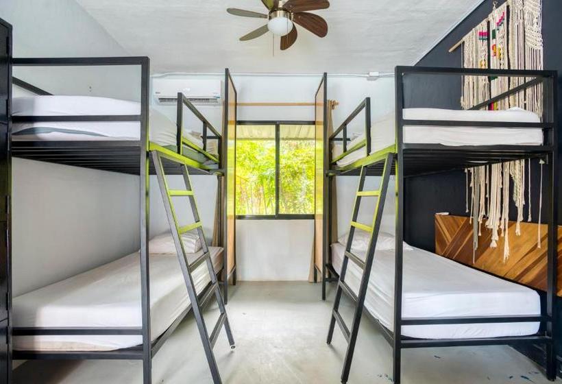 Отель Selina Santa Teresa South