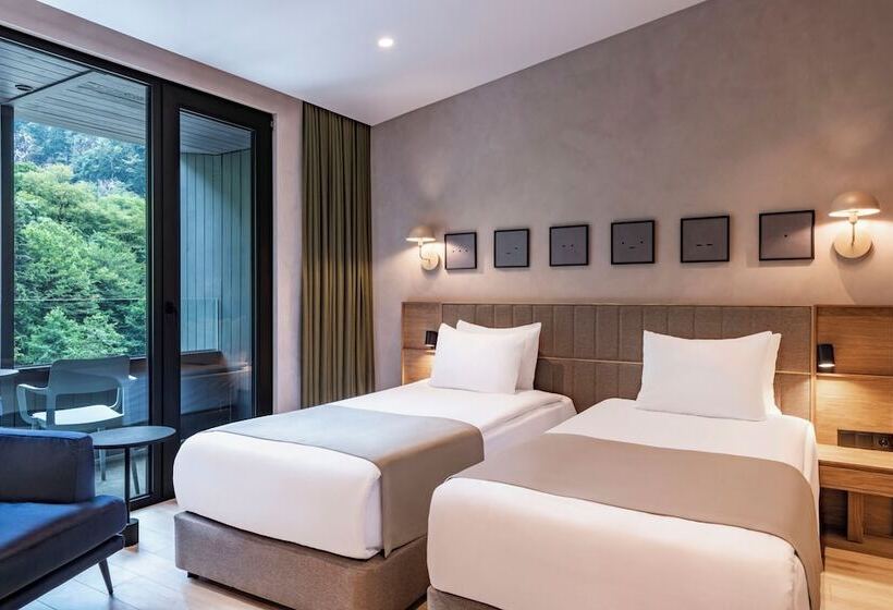 Отель New Sairme