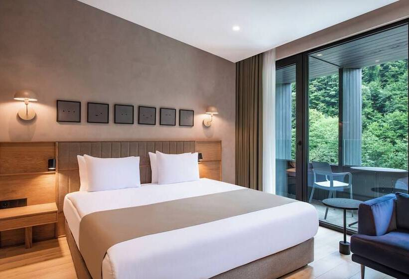 Отель New Sairme