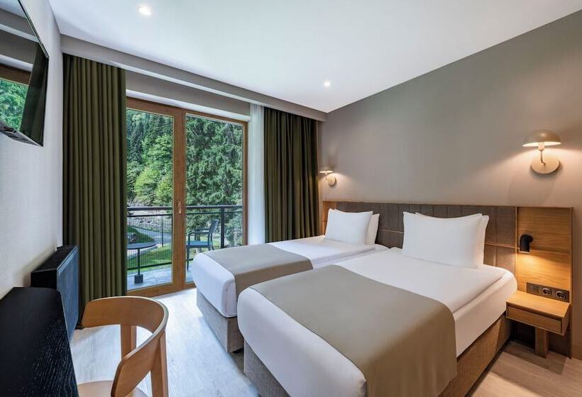 Отель New Sairme