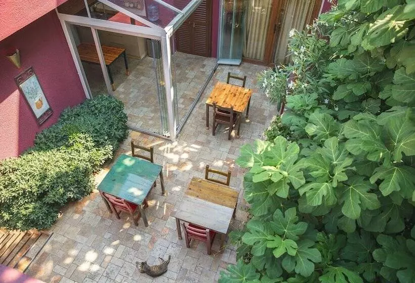 ペンション L'isola Guesthouse