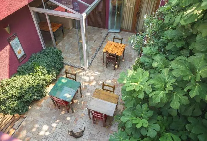 ペンション L'isola Guesthouse