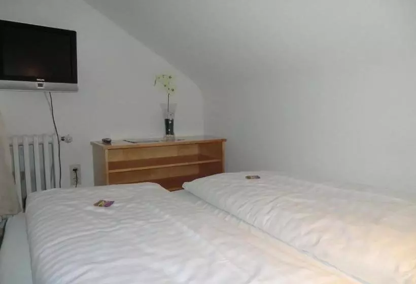 Appart International Boarding House