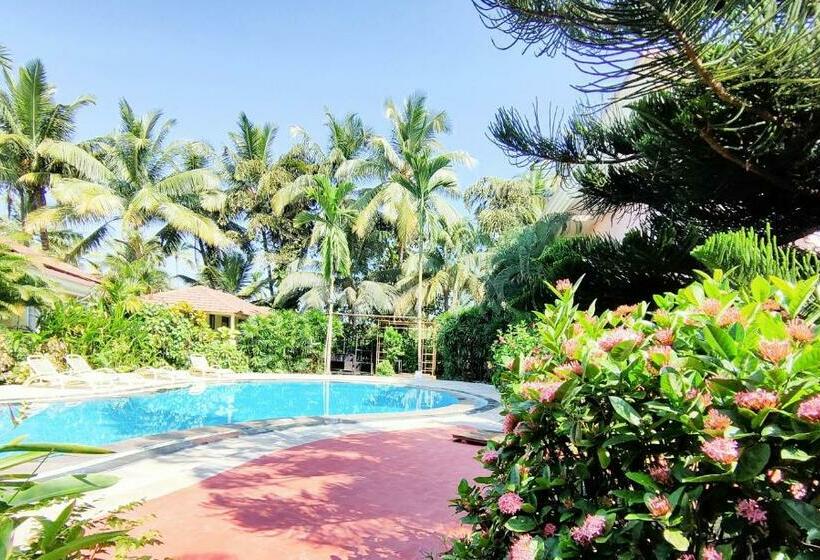 Отель Coconut Grove Beach Resort