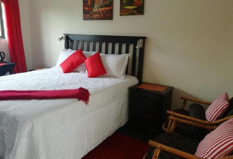 פנסיון Avalon Guest House