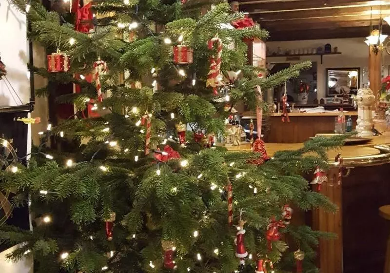 Majatalo Cb Hotel Becker