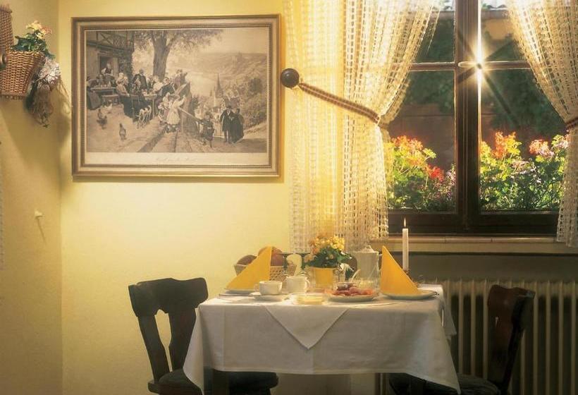 پانسیون Weingut Gutsschänke Rademacher