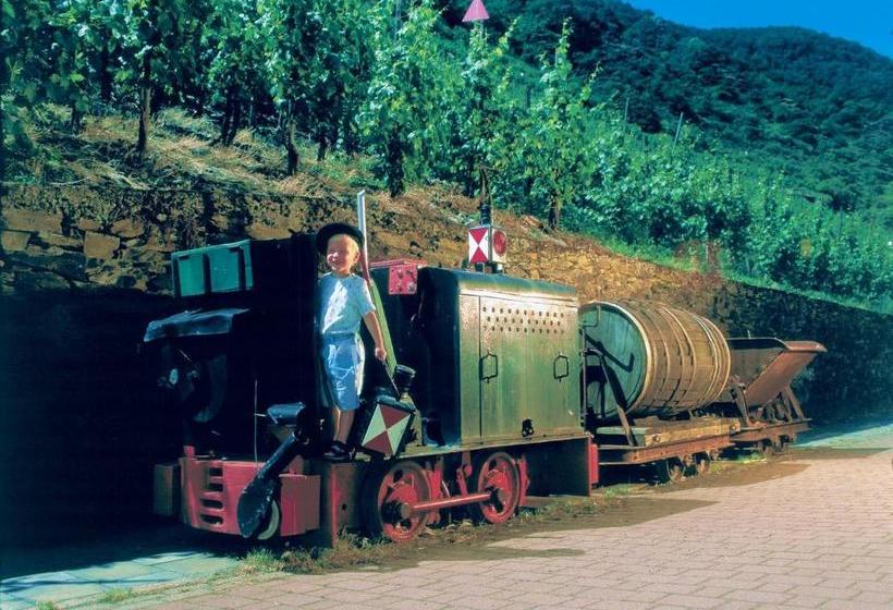 پانسیون Weingut Gutsschänke Rademacher