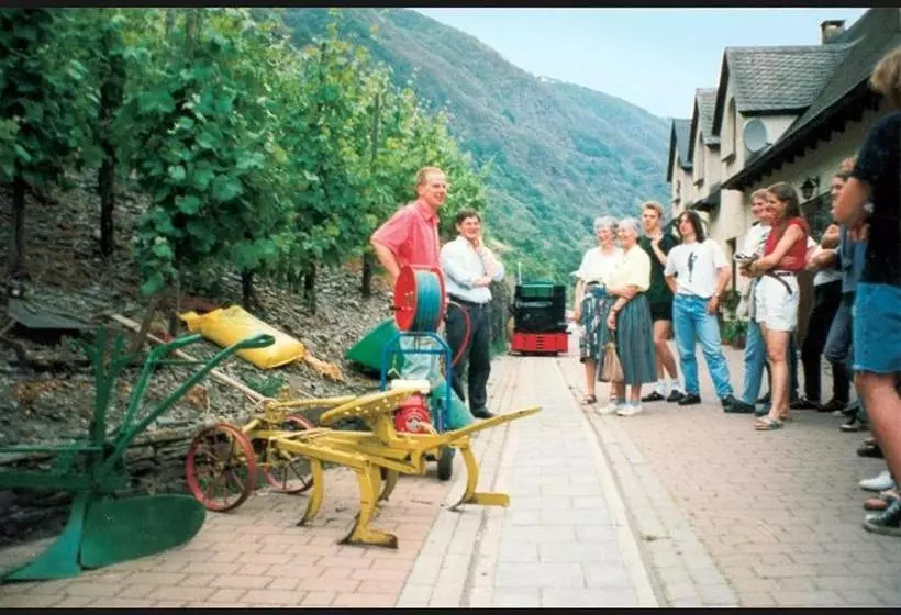 پانسیون Weingut Gutsschänke Rademacher