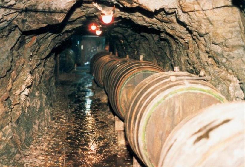 پانسیون Weingut Gutsschänke Rademacher