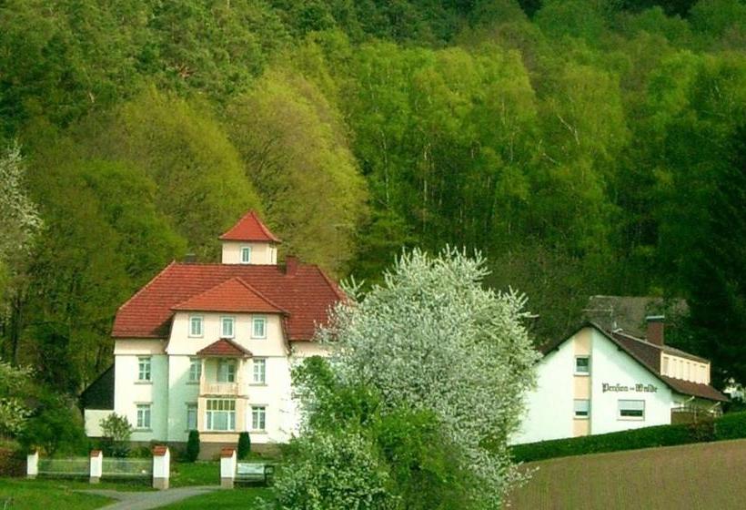 Pension Am Walde
