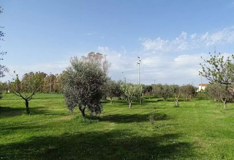Podere 1248
