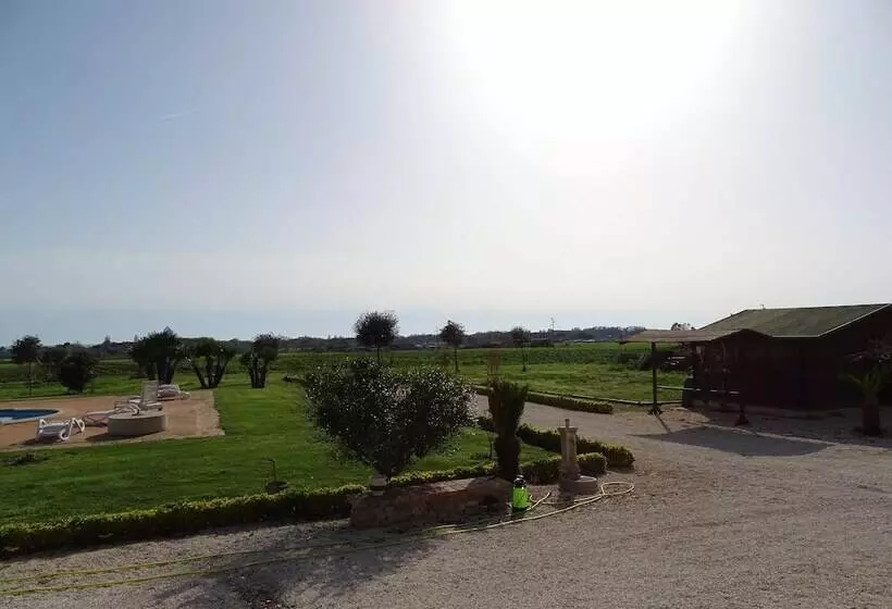 Podere 1248