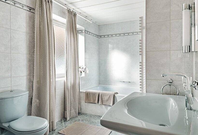 Aster Boutique Hotel & Chalets